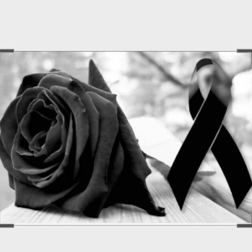 Meet your Posher, Deysi